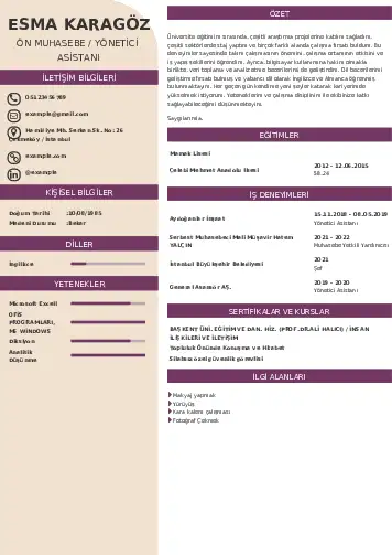 Yönetici Asistanı Cv Örnekleri cv indir